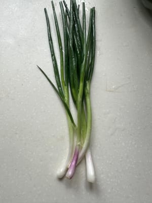 a scallion