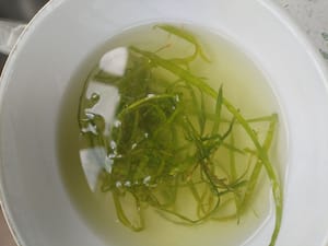 Ponga 10 gramos de cebolleta y jengibre en 50 gramos de agua y frótelos para hacer agua de cebolleta y jengibre.