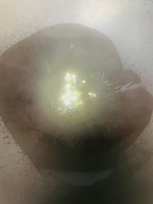 Faire sauter et laisser mijoter : Mettre 1 cuillère à soupe d'huile dans une casserole, ajouter l'oignon vert et faire sauter à feu doux jusqu'à ce qu'il soit parfumé, puis verser la sauce préparée et cuire à feu moyen-doux jusqu'à ce que la sauce bouillonne légèrement et devienne plus épaisse.