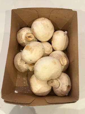 蘑菇