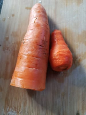 carrot stalks