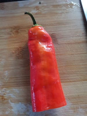 /2 large red chilies