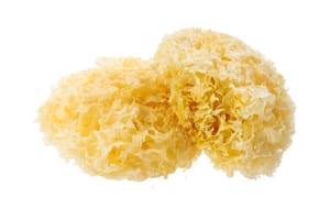 15 gramos de hongo blanco seco