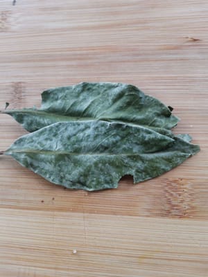 feuilles de laurier
