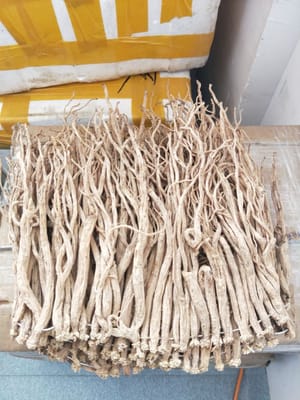 ใช้ Codonopsis pilosula 50 กรัม