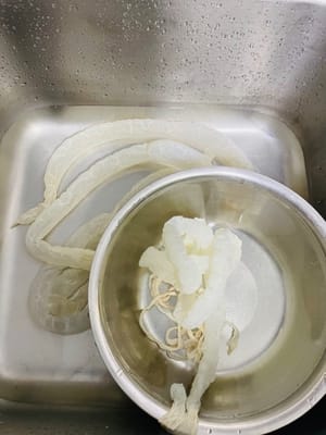 處理腸衣:
先把腸衣裡的鹽沖乾淨,再用流動水多沖幾遍(腸衣自帶的鹽是防腐的,必須沖掉不然會鹹),見影片。
用50度左右的高度白酒泡半小時(去腸衣的腥味),泡完再沖乾淨。