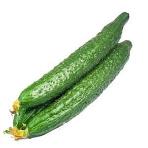 Saran isian sandwich