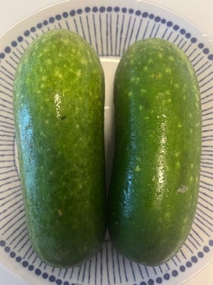 Squash