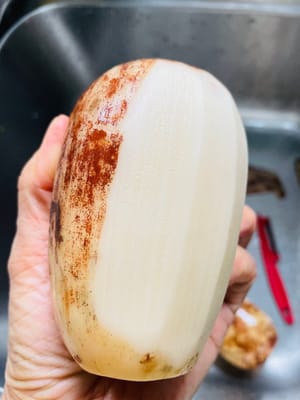Prepare the Diced Lotus Root
Wash the lotus root, peel it with a paring knife, and dice it into small pieces about 1 cm in size. Rinse the dices with clean water to remove any starch from the surface.
Choose lotus roots with both ends intact to prevent mud from getting into the pores.