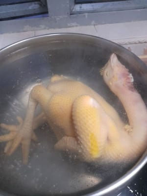 Prepare a pan, add water ± 8 liters of water (water to cover the chicken), then cover.
Wait for the water to boil, when it boils, put the chicken in one after another, then cover, wait until it boils. Turn off the heat, do not open it, leave it in the pan for ± 10 minutes. then open it.