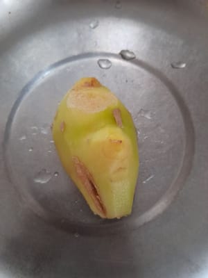 ginger segments (peel and wash, then puree)