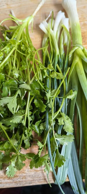 香菜分葱各适量