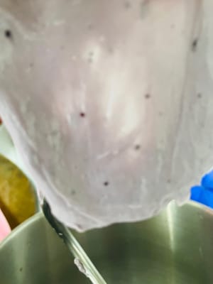 반죽이 매끄럽고 입자가 없는 필름 모양으로 펴질 때까지 반죽하면 버터와 소금을 넣고 계속 반죽합니다.