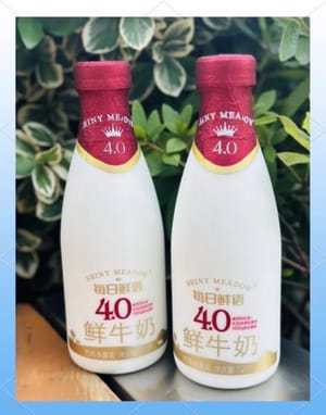 얼음 우유 300g