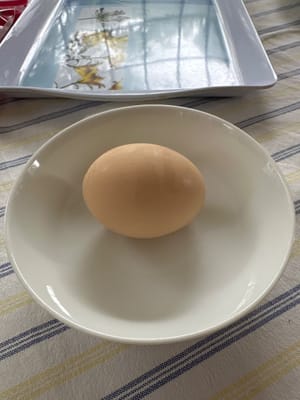 蛋清
