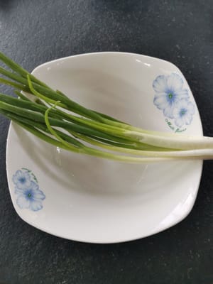 Frühlingszwiebelstiele
