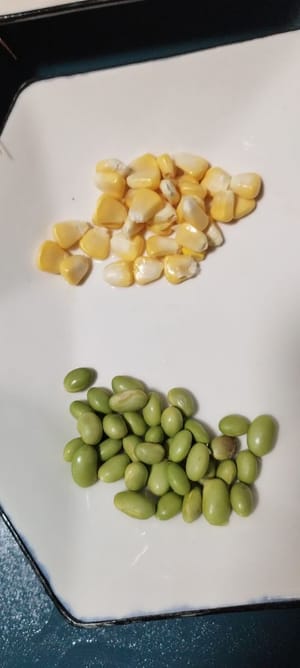 chicchi di mais e piselli verdi, quanto basta