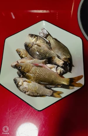 Cuci ikan dan lap kering