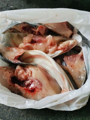 gr kepala ikan