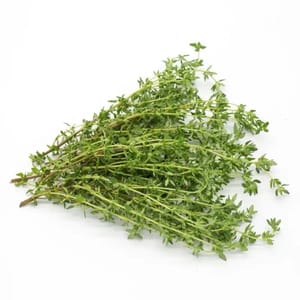 Timi/Rosemary (pilih salah satu, untuk menambah aroma) sesuai kebutuhan.