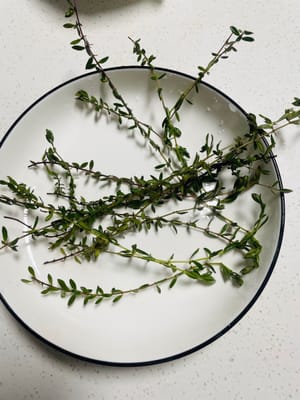 Menyiapkan bahan dan meningkatkan aroma: Cuci thyme/rosemary dan sisihkan. Potong daun bawang menjadi beberapa bagian dan iris jahe. Siapkan semua bahan.