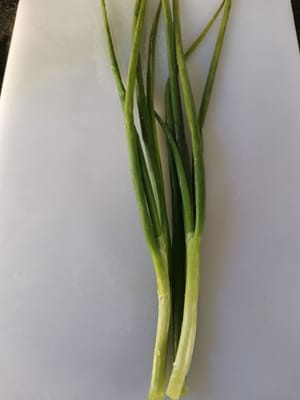 tallos de cebolleta