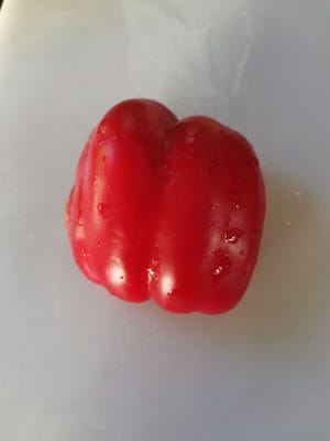/4 chiles rojos