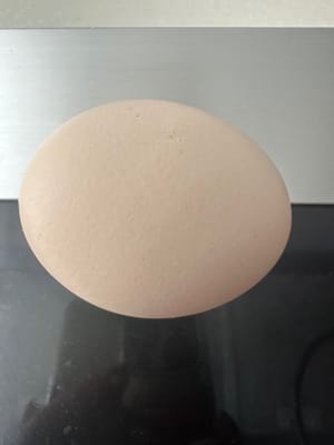 鸡蛋一个