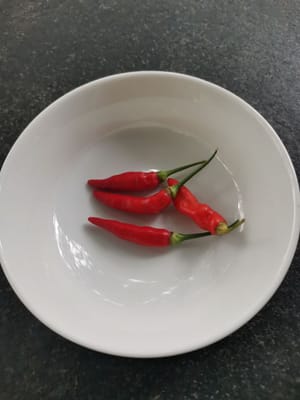 红辣椒果