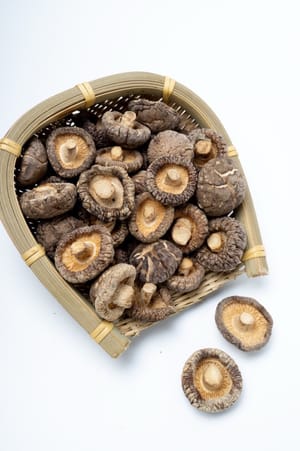 6 jamur shiitake