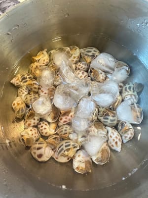 หลังจากลวกแล้ว ให้รีบนำไปแช่ในน้ำเย็นทันทีเพื่อให้เย็นลง