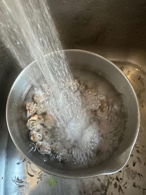 ขั้นแรก นำหอยทะเลมาถูด้วยเกลือ แล้วแช่ในน้ำประมาณ 5 นาที จนกว่าสิ่งสกปรกจะถูกชะล้างออกไป