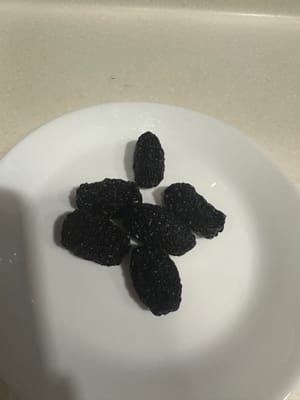 南枣六颗