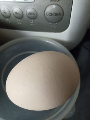 Eier