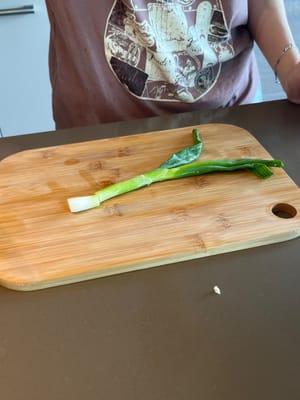 Eine Frühlingszwiebel