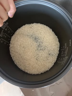 360 g Reis