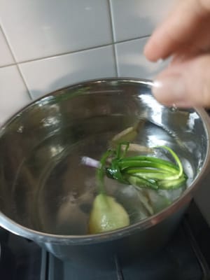 Aggiungere il mazzo di cipollotti