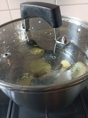 Coprire la pentola con il pollo e lasciar bollire fino a quando non bolle.