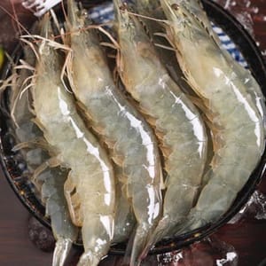 100g udang