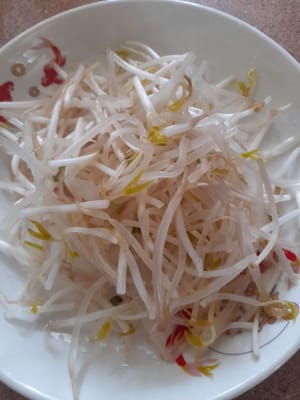 ถั่วงอก