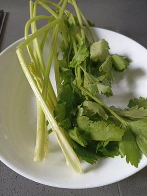 batang daun sledri