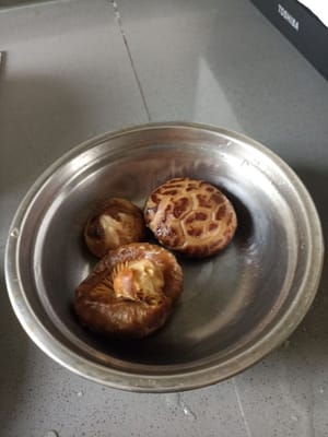 Peras jamur lalu