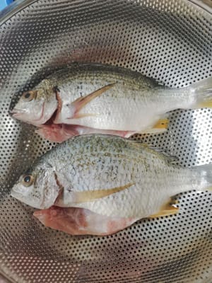 徹底清洗魚