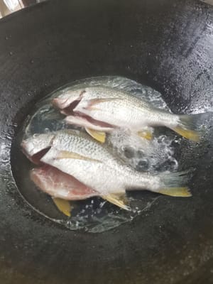 添加魚