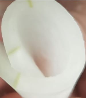 Nehmen Sie dann ein Blatt Wintermelone, rollen Sie es zu einem Kegel