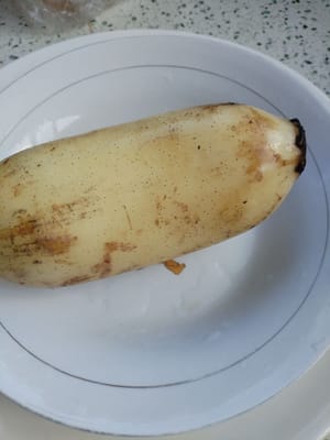 akar teratai