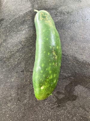 Melon berbulu (1kg)
