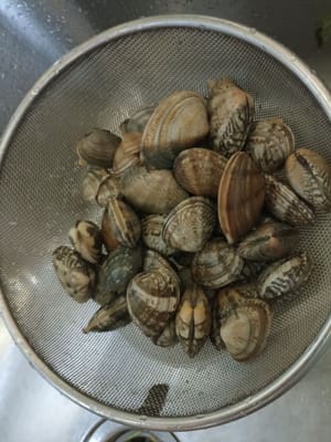 沥干