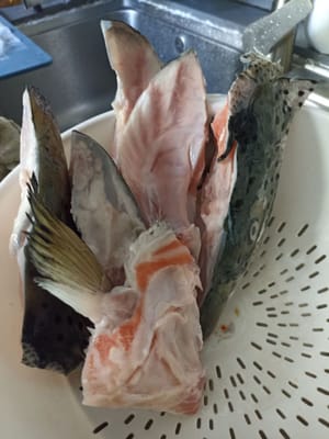 过滤排水