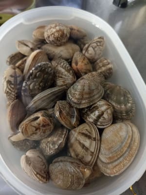 Rendam karang dan beri satu sendok makan garam sebelum di masak biar tetep hidup